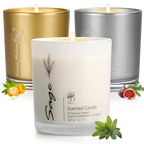 3 Pack Candles For Home Scented, Aromatherapy Candles Gift For Women, 11.3Oz Soy Scented Candles For Cleaning House, Candle Gifts Set For Birthday Mother's Thanksgiving Day Present #TOP3