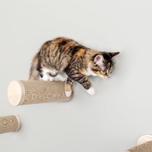 Image of Wall-Mounted Cat Perch & Scratching Post (Modern Cat Wall Furniture) - Milestone | FurHaven Ascentials