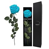 madrid miami vuelos 🎁 Regalo Ideal para Mujer – Sorprende con una rosa eterna única en una cita romántica, un aniversario, San Valentín, una boda o el Día de la Madre.