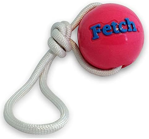 Planet Dog Orbee-Tuff Pink Fetch Ball with Rope Dog Toy