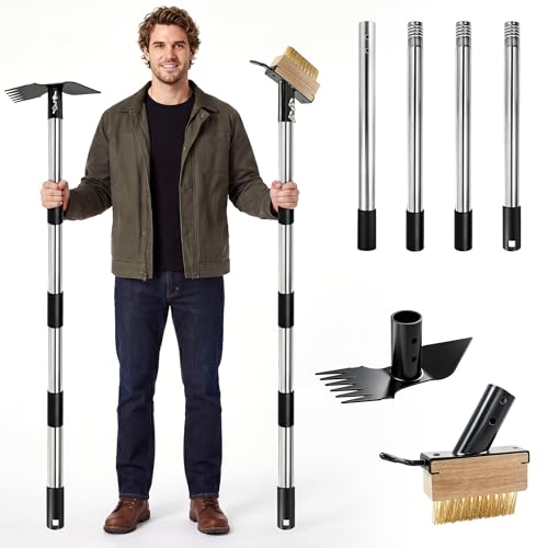 2 in 1 Weed Remover Brush and Garden Hoe Stainless Steel Moss Remover Tool with Long Handle Weeding Rake Gardening Tools for Yard Lawn Patio Garden