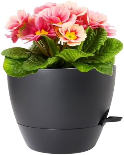 Amazon.com: Meowell 12 inch Large Self Watering Pots for Indoor Outdoor ...
