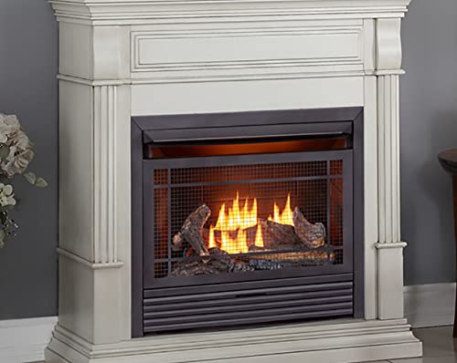 Duluth Forge Dual Fuel Ventless Fireplace Insert 26,000 Btu, T-Stat Control Fdf300T, Antique White #TOP2