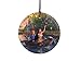 Trend Setters Pocahontas – Disney and Thomas Kinkade Studios – Suncatcher Hanging Glass Collectible Ltd
