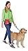 Mobile Dog Gear, Small Dog Walking Bag, Day or Night Reflective, 6 x 7 Inches