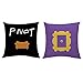Pillow Case 1818 inch Frame Yellow Peephole Handmade Door Frame-Central Perk Coffee Time Souvenir Pillow Cover for Fans