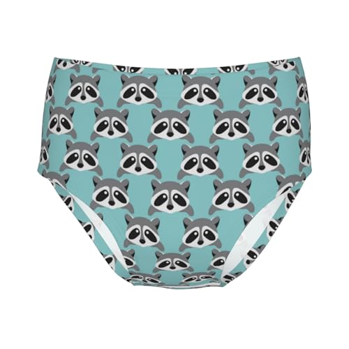 Cute Racoon Pattern Girls' Underwear Soft Cotton Little Girls Panties Comfort Briefs