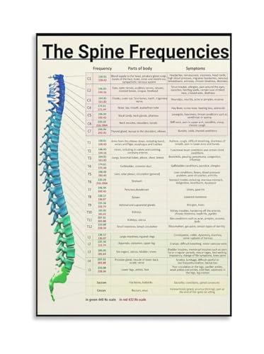 Image of ITCLEYMDZV Human Spine Anatomy Poster Vertebrae Diagram Canvas Wall-Art for Physical Office Yoga Studio Decor(Framed,08X12inch(20X30cm))