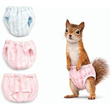 Squirrel Diapers, 3 PCS Washable Strechable Small Pet Cloth Diapers, Highly Absorbent and Leak-Proof for Indoor Squirrels Size M, 6.3" - 11" Waist