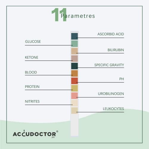 AccuDoctor 100 Urin-Teststreifen Hund & Katze – Urintest für Tiere, pH Teststreifen Urin Hund Urintestreifen Schnelltest – Urin Sticks Hund Katze, Teststreifen Urin Tier, Hund Urintest Niere Zuhause