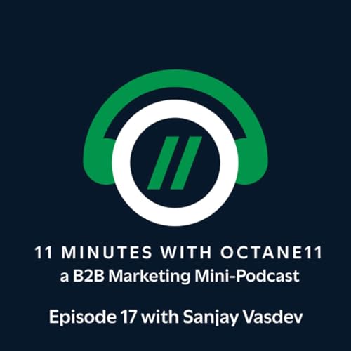 Episode 17: Sanjay Vasdev (LinkedIn, Facebook, MSFT, Conversant) on ROI, Personalization & Measurement Maturity