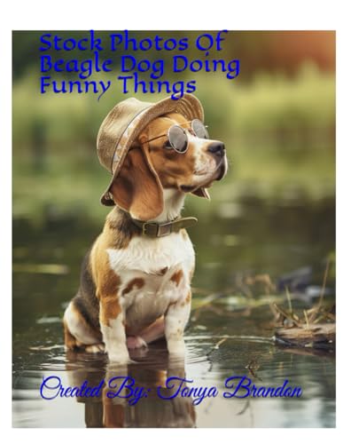 Stock Photos Of Beagle Dog Doing Funny Things