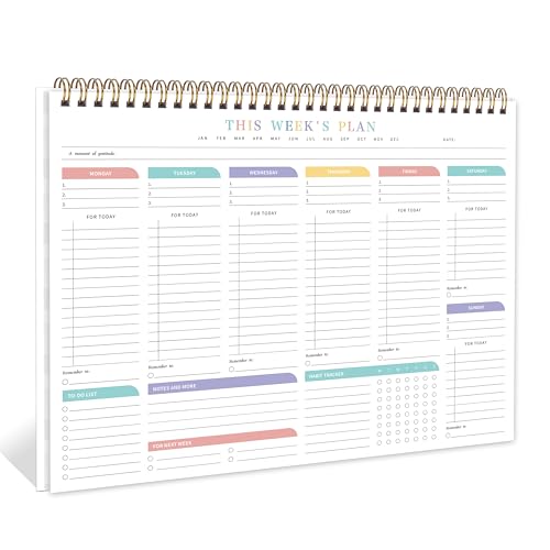 Kamoy �E�B�[�N���[ To Do���X�g������ �D�揇�ʕt�� �t�H���[�A�b�v 8.5�C���`×11�C���` ���t�Ȃ� �E�B�[�N���[�f�X�N�v�����i�[ �I�[�K�i�C�U�[ �w�Z/�I�t�B�X�p�i/�Ƒ��p