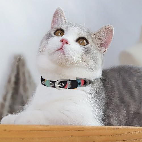 Collier pour chien et chat à motif neige pour balades de Noël