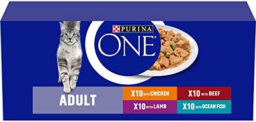 Purina ONE Urinary Care Dry Cat Food Chicken 800g pack of 1