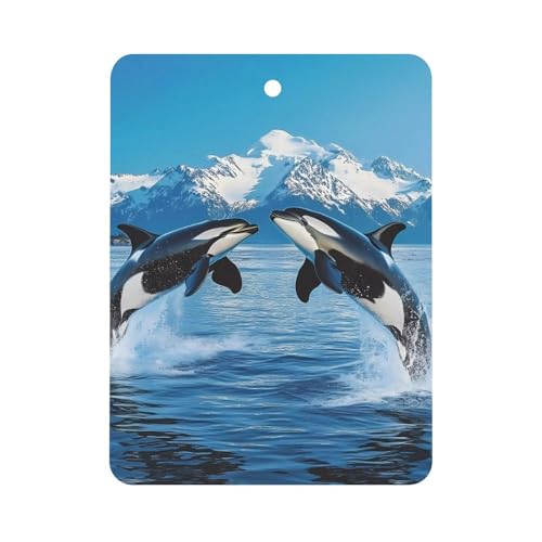 Animal Orcas Iceberg Car Air Freshener Hanging Aromatherapy Tablets for Car Accessories Square