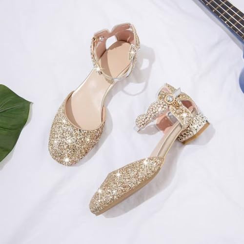 AOQUNFS Girls Dress Shoes Sequin Latin Ballroom Dance Shoes Mary Jane Low Heels Wedding Party Sandals,DS-634