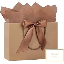 JMANNI Gift Bags with Handles, 13 Medium Gift Bag for Presents, 1 Pcs Bags with 2 Tissue Paper and 1 Cards for Graduation Baby Shower Wedding Fathers Day Mothers Day Birthday Party Brown