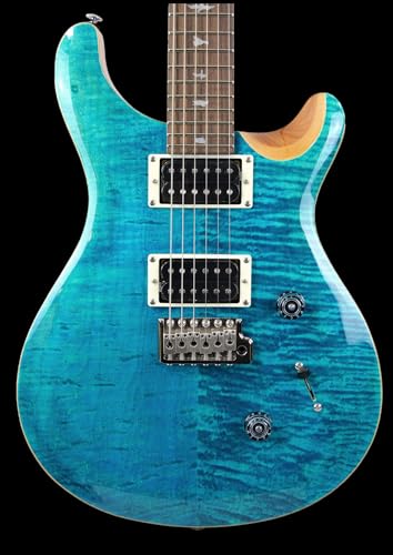 �yPRS�zSE Custom 24 Natural Back (Blue Matteo)�G���L�M�^�[