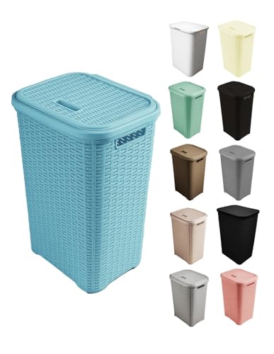 JARDIN202 - Cesto Ropa Sucia Pongotodo con Tapa y Asas | Cesta Colada Plástico Ratán | Cubo Ropa Sucia Ventilado | Baño Dormitorio | 38L/60L | 60 litros (Celeste)