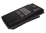Tipo di batteria: Ni-MH, tensione: 7,2 V, capacità: 2000 mAh/14,40 Wh. Dimensioni: 118,50 x 62 x 25 mm, peso: 410,5 g.