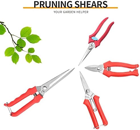 Miniatura 3 de Rastrillo Herramientas de jardín Tijeras para bonsái en granja de huertos para recoger naranjas y herramientas de jardín de tomate (Color  6.5 in)