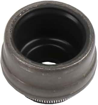 Amazon.com: GM Genuine Parts 09158057 Valve Stem Oil Seal : Automotive
