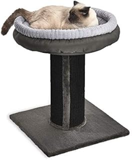 Amazon Basics Extra Large Cat Scratching Post Tree Tower With Bed - 19 x 19 x 26 Inches, Black