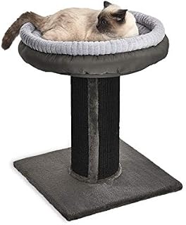 AmazonBasics Extra Large Cat Scratching Post Tree Tower With Bed, 19 x 19