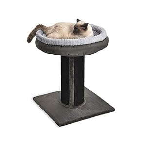 Amazon Basics Albero per Gatti XL con Palo Tiragraffi, Torre e Cuccia, 48,26 x 48,26 x 66 cm, Grigio
