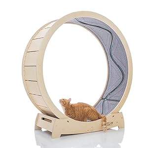 Star Cat Wheel, Cat Treadmill, Exercise Wheel for Running, Spinning, Scratching, and Climbing for Indoor Cats, Premium Birch Wood, Eco-Friendly, Moving Fish, Wide Running Track, 41.7 inch L Size
