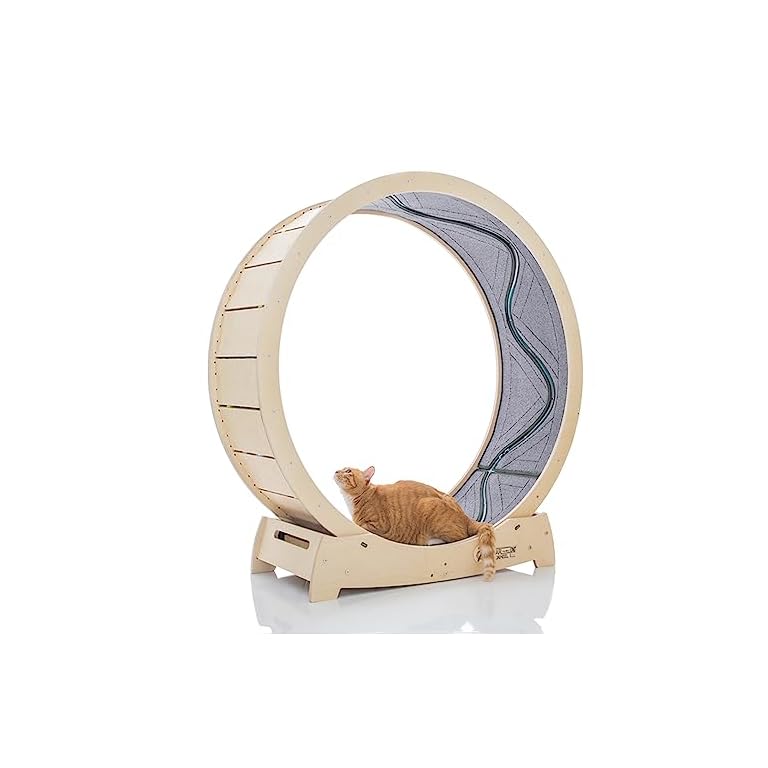 The Ultimate Guide to Cat Treadmills: Top 5 Picks to Keep Your Feline Active