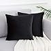 WLNUI Soft Velvet Black Throw Pillow Covers Set of 2 Decorative Pillow Case Square Cushion Cover for Sofa Couch Home Farmhouse Decor 18x18 Inch 45x45 cm