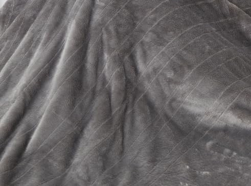Electric Heated Blanket, Full Size 72x84 Comfort Soft Long Hair Double with Chunky Controller, Light Gray & 10H Auto-Off