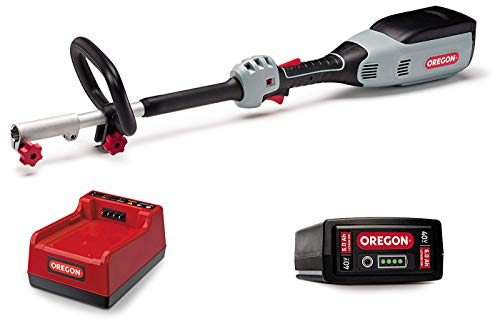 Oregon 594075 40V MAX PH600 Powerhead Kit with 6.0 Ah Battery and C750 Rapid Charger, Grey
