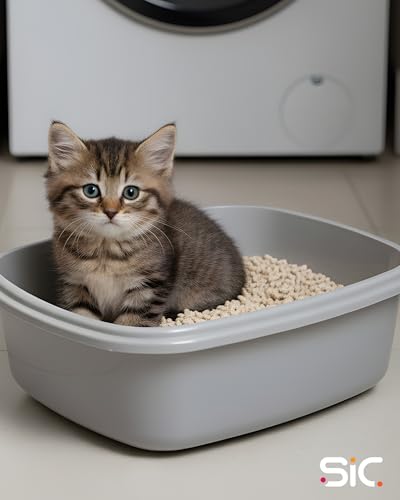 SIC Cat Litter 30L – Biodegradable Wood Pellet Cat Litter, Dust-Free & Unscented, Non-Clumping, Odour Control for Cats & Kittens, Natural, Soft Wood Pellets for Paws & Tray Freshness - Image 6