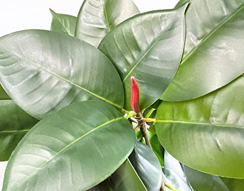 Artificial Rubber Tree Plant Lifelike Tropical Burgundy Ficus Elastica Tree Houseplant Branch For Home Office Decoration (Dark Green - Pack Of 2) #TOP5