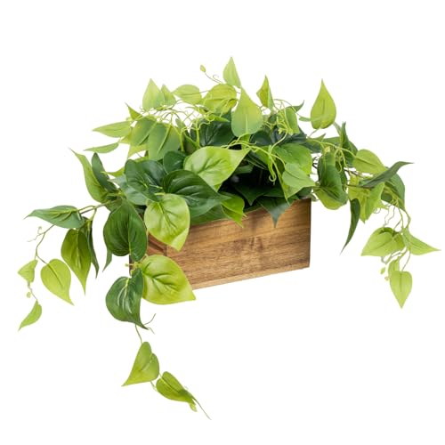 MyGift Vibrant Lifelike Artificial Plant Pothos Leafy Vine Greenery in Natural Solid Acacia Wood Rectangular Planter Box