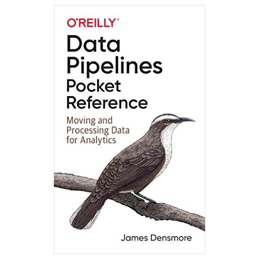 Data Pipelines Pocket Reference: Moving and Processing Data for Analytics