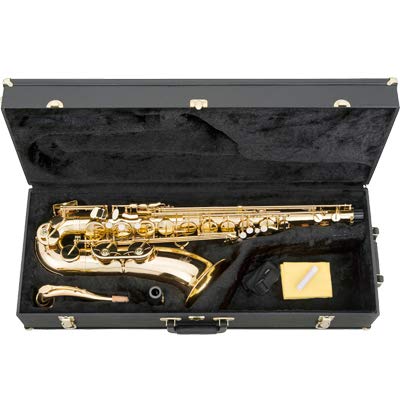 Amazon | MARCATO テナーサックス TS-351 ゴールドラッカー仕様