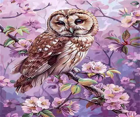 Peinture par numéros adulte hibou MK188 toile géante 110x85cm