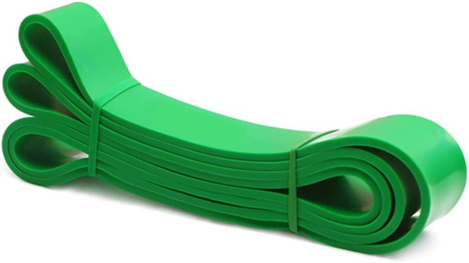 DANCOLOR Resistance Bands Gym Home Fitness Rubber Expander Loop Strength Rubber Band Fitness Pull Up Assist Workout (Color : 100-120 LB -Green, Size : 20.8cm)