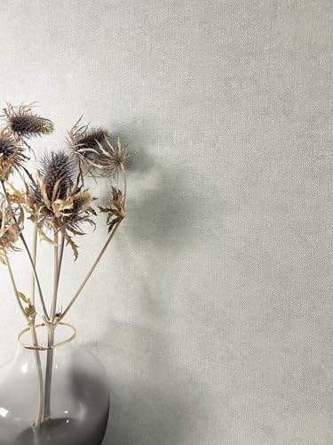 Newroom Carta da Parati Grigio Tessuto Non Tessuto Tinta Unita - Moderno Minimalista Effetto Lino Struttura Tessile Soggiorno Camera da Letto