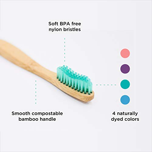 image for TreeBird Bamboo Toothbrush 4-Pack & Compostable Silk Dental Floss with