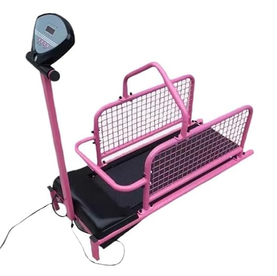 KIIYA ドッグ・トルソ ミニチュアダックス風 Mサイズ 【公式通販】