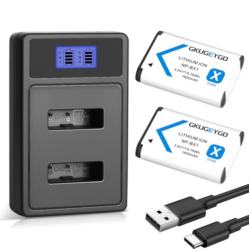 GKUGEYGO NP-BX1 Replacement Battery and 2-Channel USB