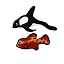 Red Fish Black White Killer Whale