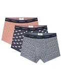 SPRINGFIELD 3 Pack of Boxers Egypt