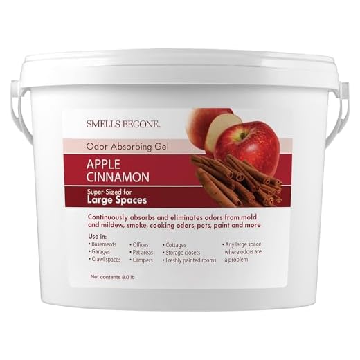 SMELLS BEGONE Odor Absorber Gel