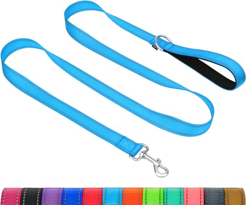 Taglory Correa Perro Reflectante, Mango Acolchado Suave y Gancho de Metal, Correas Adiestramiento para Perros Mediano Grandes, 1.8m x 2.5cm, Cielo Azul